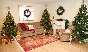 Ședințe Foto Crăciun Arad – Decor de Poveste și Atmosferă Caldă